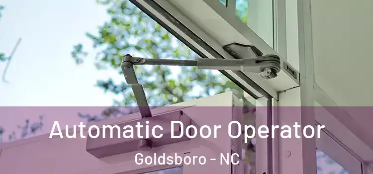 Automatic Door Operator Goldsboro - NC