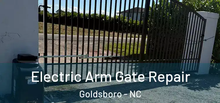 Electric Arm Gate Repair Goldsboro - NC