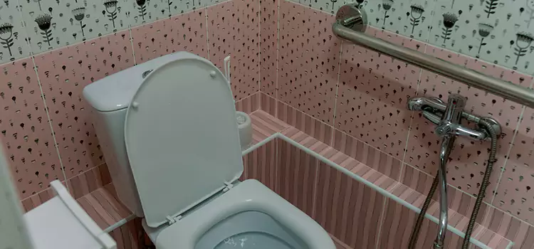 Meeting Diverse Needs With Accessible Restroom Solutions in Goldsboro, NC